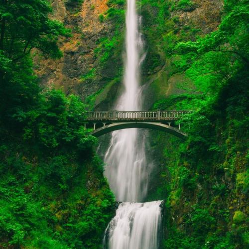 陈慧琳 - 记事本 (DJZR FunkyHouse Mix 2025)