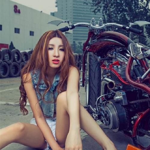 大壮 - 红尘来去一场梦(Dj炮哥 ProgHouse Rmx 2025 v2)