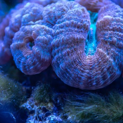 抖音女版 - 一滴泪的时间（DJ星少 - FKHouse}